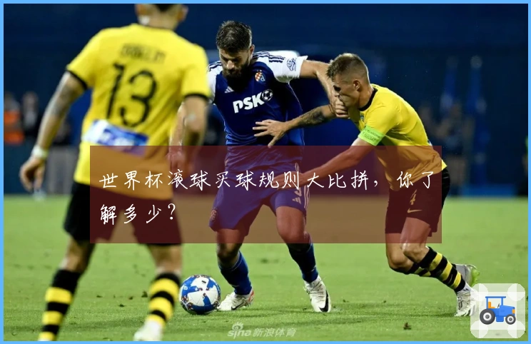 世界杯滚球买球规则大比拼，你了解多少？