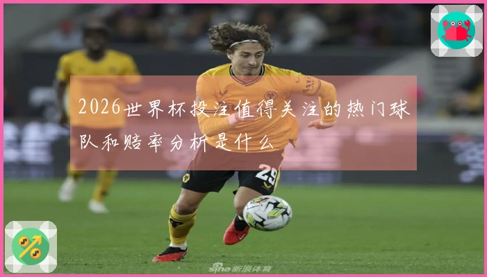 2026世界杯投注值得关注的热门球队和赔率分析是什么