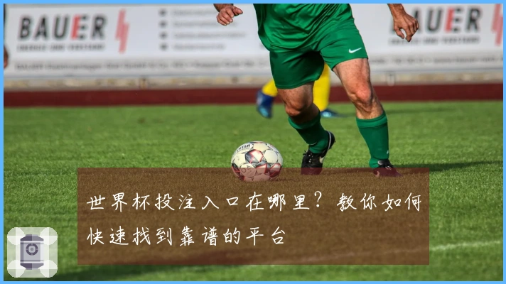世界杯投注入口在哪里？教你如何快速找到靠谱的平台