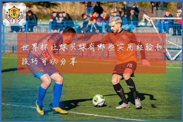 世界杯让球买球有哪些实用经验和技巧可以分享