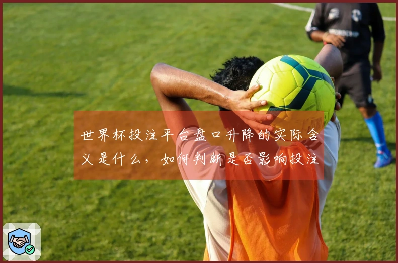 世界杯投注平台盘口升降的实际含义是什么，如何判断是否影响投注决策
