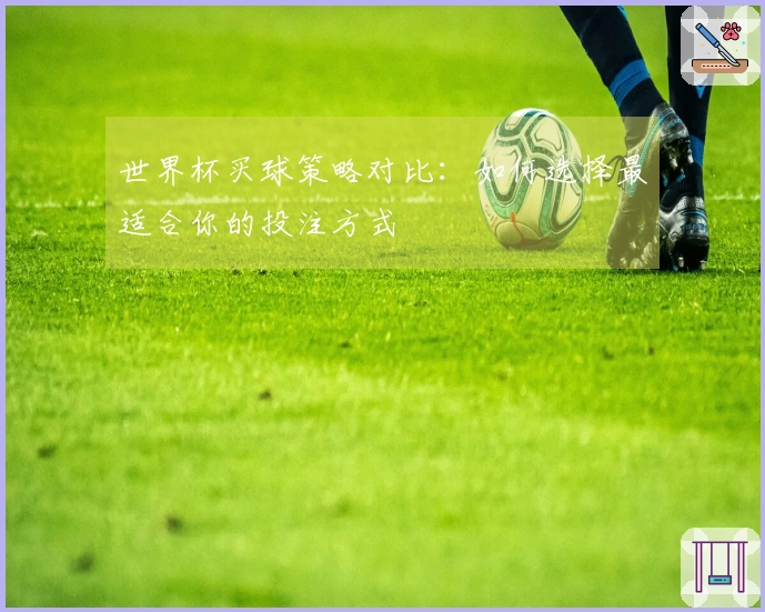 世界杯买球策略对比：如何选择最适合你的投注方式