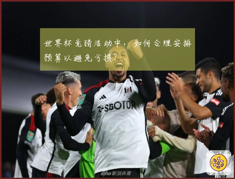 世界杯竞猜活动中，如何合理安排预算以避免亏损？