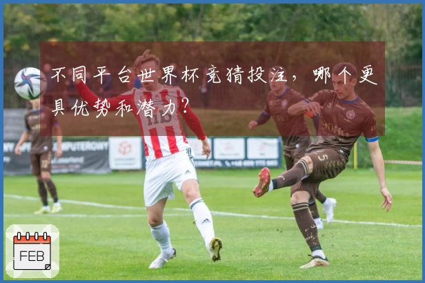 不同平台世界杯竞猜投注，哪个更具优势和潜力？