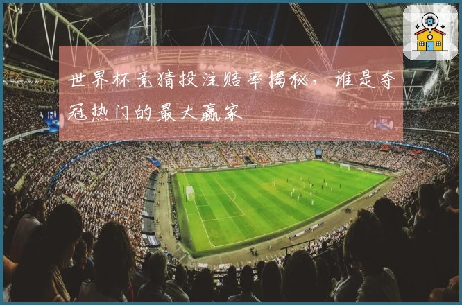 世界杯竞猜投注赔率揭秘，谁是夺冠热门的最大赢家