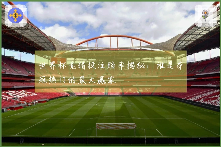 世界杯竞猜投注赔率揭秘,谁是夺冠热门的最大赢家